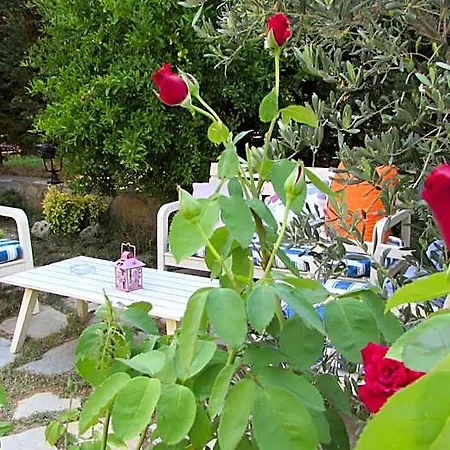 Ege 3*