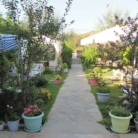 Ege בוזקאדה