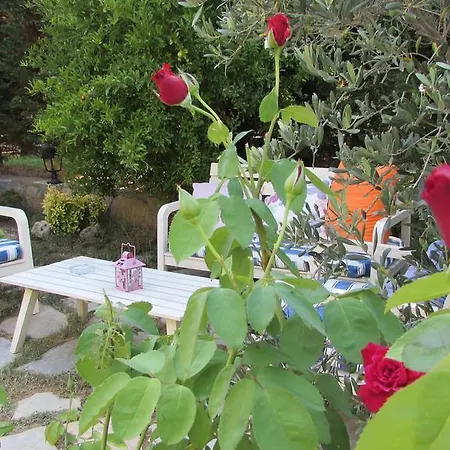 Ege מלון